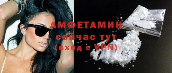 гидра Покачи