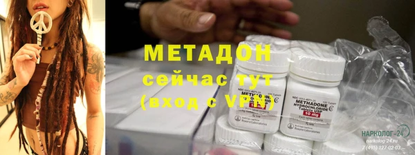 прущие грибы Ладушкин