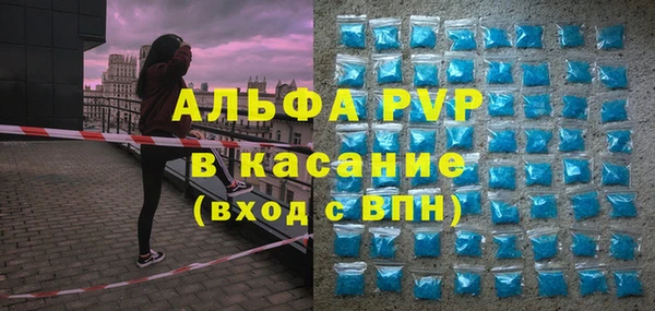 прущие грибы Ладушкин