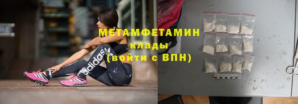 прущие грибы Ладушкин