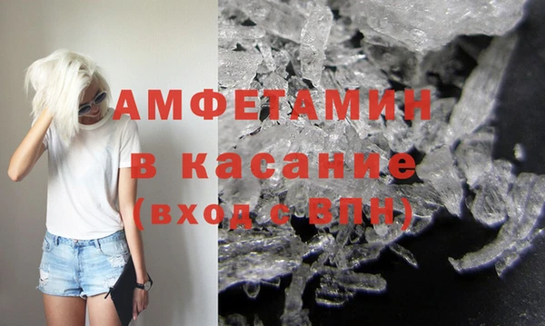прущие грибы Ладушкин