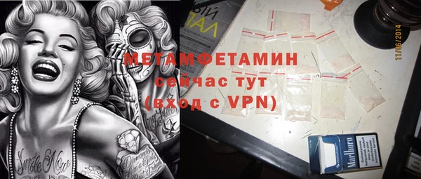 прущие грибы Ладушкин