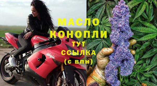 прущие грибы Ладушкин