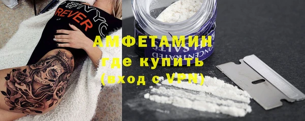 PSILOCYBIN Волосово