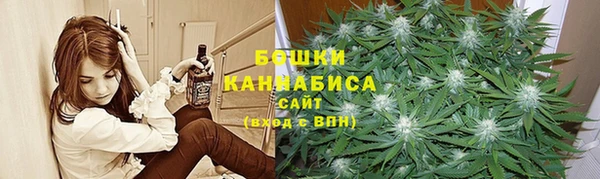 хмурый Пересвет